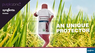 Syngenta Amistar Top Product Video  PurpleZone [upl. by Friedland176]