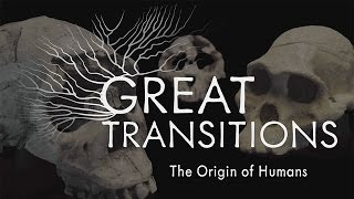 Great Transitions The Origin of Humans — HHMI BioInteractive Video [upl. by Merton]