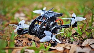 my MICRO DRONE  the Driblet 2in brushless freestyle drone [upl. by Aubigny]