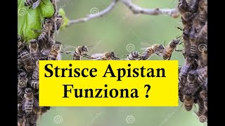 Apicoltura  Trattamenti nuclei con strisce di Apistan [upl. by Nwahsal]