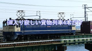 JR貨物 20240428 GW入り午前中の貨物列車4本だけで終わる 東海道本線 [upl. by Fredie]