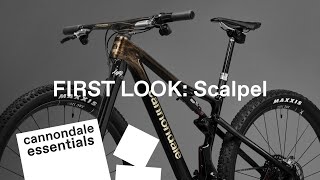 FIRST LOOK Scalpel  Cannondale Essentials​ [upl. by Renault]