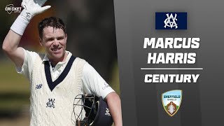 Harris dominates Tigers en route to seventh Junction Oval ton  Sheffield Shield 202425 [upl. by Mashe]