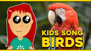 Educational Kids Song  Winnie  Birds  Mimi Song [upl. by Nosmas]