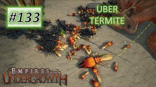 Empires of the Undergrowth 133 UBER Termite VS 3 Matabele ant colonies [upl. by Knapp142]