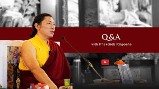 QampA with Kyabgön Phakchok Rinpoche [upl. by Koosis383]