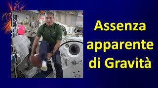 Assenza apparente di gravità sull’ISS [upl. by Qulllon]