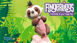 Fingerlings Baby Sloth from WowWee [upl. by Templa]