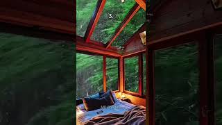 Which bed are you napping the hardest😴 relaxing vibes asmr aesthetic [upl. by Aikim]