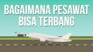 Kenapa Pesawat Bisa Terbang [upl. by Ezalb]