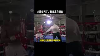 即便死亡，也没能阻止他挥下人生中的最后一拳拳击 感人 格斗 boxing moving 精彩片段 [upl. by Ennazzus]