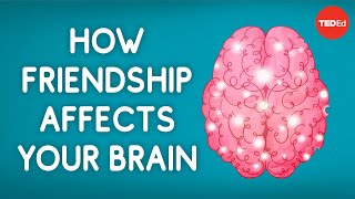 How friendship affects your brain  Shannon Odell [upl. by Neeleuqcaj268]