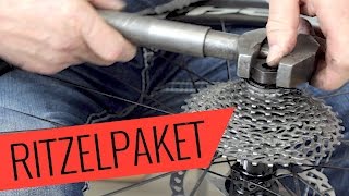 Fahrrad Ritzelpaket wechseln  Detaillierte Reparatur  Fahrradorg [upl. by Adi371]