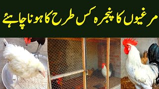 Murgiyon ka pinjra Kis tarah Ka Hona chahie  Birds Cage hen birds cage [upl. by Gregson]