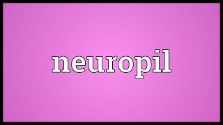 Neuropil Meaning [upl. by Elbertine]