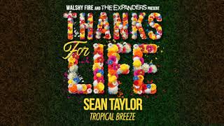 Sean Taylor  Tropical Breeze  Thanks For Life Riddim [upl. by Toomin]