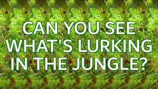 Stereogram Challenge 22  Whats Lurking in the Jungle [upl. by Klaus459]