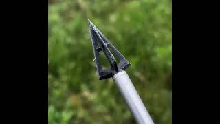 Broadhead Performance Test Discover the Best for Your Huntarrowheads hunting outdoorsshorts [upl. by Setarcos]