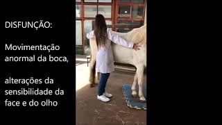 SEMIOLOGIA VETERINÁRIA  EXAMES DO SISTEMA NERVOSO [upl. by Aleece552]