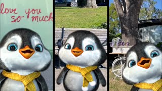 Puff Puff  Best of 2022 Compilation  itspuffpuff Cute Penguin [upl. by Dustin988]