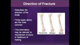 Radiology of Extremity Fractures 2003 [upl. by Desta]