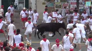 Fêtes de Bayonne 2024Courses de Vaches 2 [upl. by Pish878]