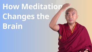 How Meditation Changes the Brain with Yongey Mingyur Rinpoche [upl. by Larina]