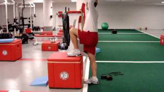 Psoas Iliacus Strengthening Exercises [upl. by Noicnecsa]