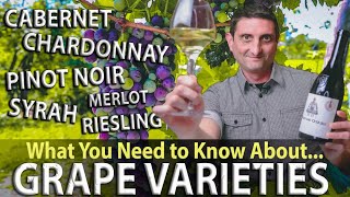 WINE 101 What are Grape Varieties [upl. by Sirad]