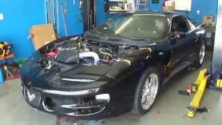 Procharged LQ4 Trans Am first startup [upl. by Marquita]