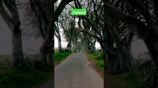 Northern Irelands Dark Hedges Best Time to Visit amp Walking Tour  County Antrim Travel Guide [upl. by Ainer]