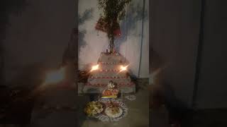 Tulsi vivah special Tulsi vivah ka puja kese hota hai dekhiye viralvideo shorts treadings [upl. by Eiblehs]