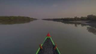 The Sundarbans mangrove forest one of the largest such forests in the world 140000 ha [upl. by Gaw]