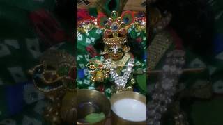 💐He Murlidhar Chhaliya Mohan💐 laddugopal krishna shyam youtubeshorts status live radhakrishna [upl. by Annocahs]