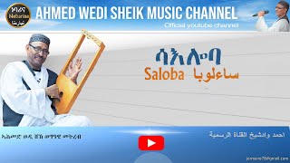 Eritrea song Ahmed Mohammed  Wadi Sheik  Saloba ሳእሎባ ساءلوبا [upl. by Atnek220]