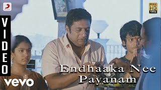 Dhoni Telugu  Endhaaka Nee Payanam Video  Ilayaraja  Prakash Raj [upl. by Kenric208]