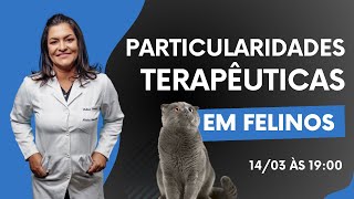 Particularidades terapêuticas em felinos [upl. by Uis]