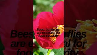 Save The Pollinators protection of bees environmentalscience save the bees ytshorts [upl. by Negah937]