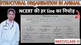 Structural organisation in animals class 11 one shot  Neet biology [upl. by Gerrard608]