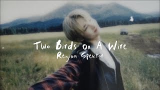 Regina Spektor  Two birds on a wire lyrics sped up  reverb [upl. by Khudari456]