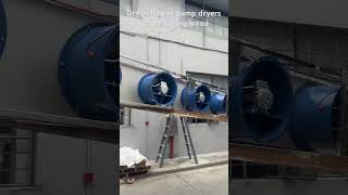 Drytech Heat Pump Dryers exported to Zambia use to drying wood dryingmachine fooddryer wooddryer [upl. by Eseerehc]