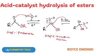 ACIDCATALYSED HYDROLYSIS OF ESTERS hydrolysis esterification [upl. by Josler]