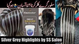 How To Silver Grey Highlights Gray Highlights on Dark Hair Silver Highlights StepbyStep [upl. by Htor]