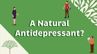 Depression treatment with natural acetyl l carnitine [upl. by Edra]