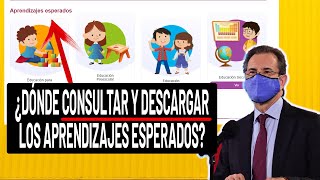 ¿Cómo consultar los APRENDIZAJES ESPERADOS para APRENDE EN CASA 2 [upl. by Ecyac]