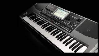 HABABAM ŞİŞELER OYUN HAVASI 2024 KORG PA900 [upl. by Anohr]