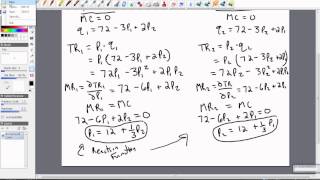 Oligopoly Bertrand Competition with Differentiated Goods [upl. by Ahsille]