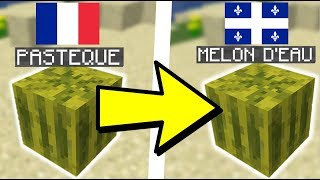 MINECRAFT FRANCAIS VS QUEBECOIS [upl. by Sproul]