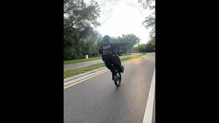 Sur Ron’s are too much fun surron ebike wheelie dirtbike florida [upl. by Ailati]