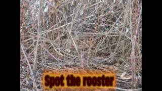 Rooster Ridge Pheasant Club Slideshow Missoula MT [upl. by Janerich428]